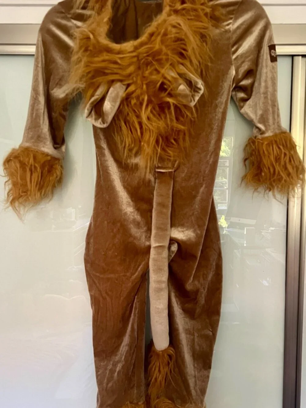 Lion Costume